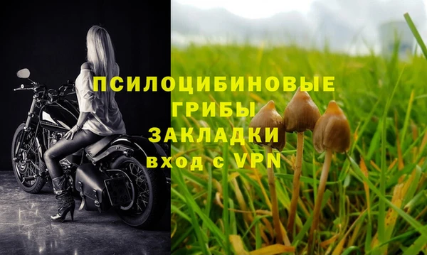 дживик Армянск