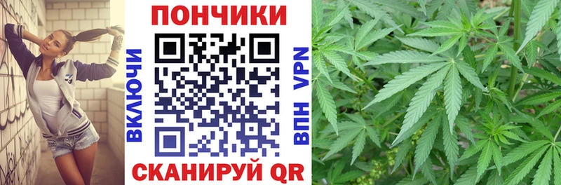 дарнет шоп  Аткарск  Канабис SATIVA & INDICA 